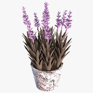 lavender plant 3D model