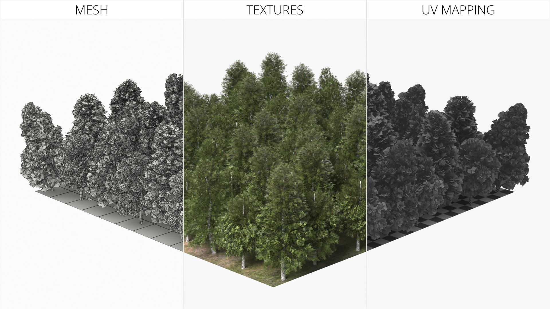 3D model Low Poly Birch Grove Woodland Cluster Green https://p.turbosquid.com/ts-thumb/is/5zmOBx/8i/low_poly_birch_grove_woodland_cluster_green_012/jpg/1782471421/1920x1080/fit_q87/5c35462f2413b3e7e0a4c53912cce6345fca0b1e/low_poly_birch_grove_woodland_cluster_green_012.jpg