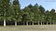 Low Poly Birch Grove Woodland Cluster Green