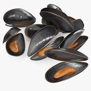 Pile of Boiled Mussels 3D model