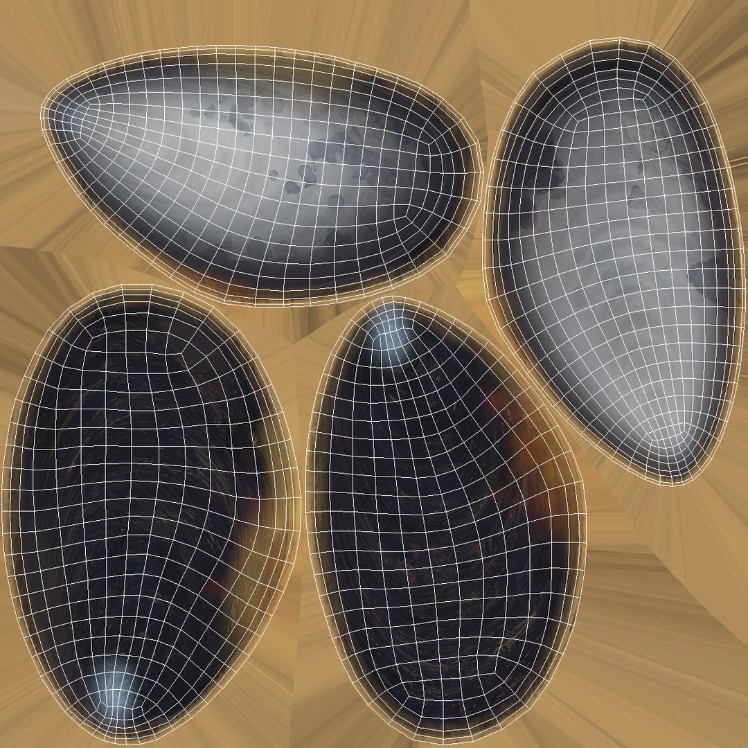 Pile of Boiled Mussels 3D model https://p.turbosquid.com/ts-thumb/is/9PSKX7/U5/pileofboiledmusselsc4dmodel015/jpg/1725506547/1920x1080/fit_q87/5c2780e4dda006ff4cbe2a6ab7d22bce7e2c20f6/pileofboiledmusselsc4dmodel015.jpg