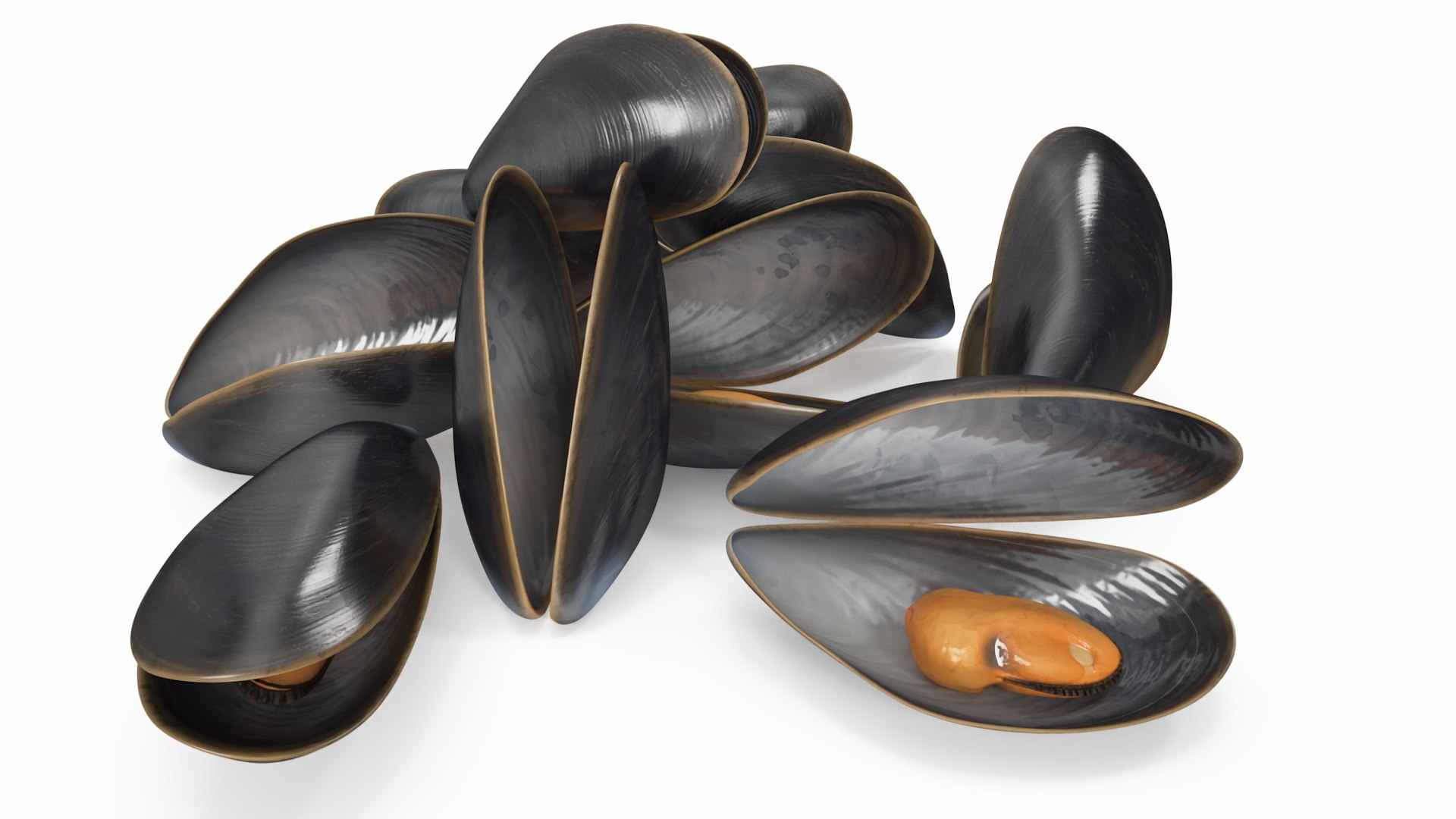 Pile of Boiled Mussels 3D model https://p.turbosquid.com/ts-thumb/is/9PSKX7/Zp/pileofboiledmusselsc4dmodel007/jpg/1725506519/1920x1080/fit_q87/d81f1ee1a37b4ade72cfb6623041f1c14c65b340/pileofboiledmusselsc4dmodel007.jpg