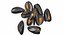 Pile of Boiled Mussels