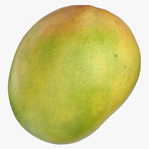 Mango 04