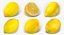3D Citrus Fruits Collection 01 - 27 models model