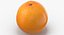 3D Citrus Fruits Collection 01 - 27 models model