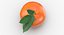 3D Citrus Fruits Collection 01 - 27 models model