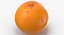 3D Citrus Fruits Collection 01 - 27 models model
