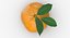 3D Citrus Fruits Collection 01 - 27 models model