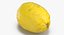 3D Citrus Fruits Collection 01 - 27 models model