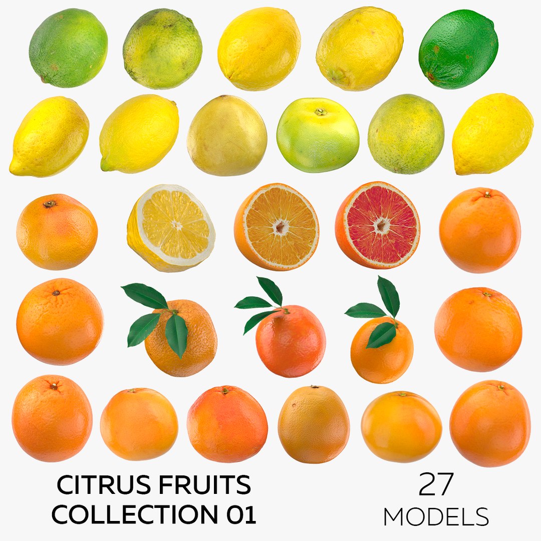 3D Citrus Fruits Collection 01 - 27 models model https://p.turbosquid.com/ts-thumb/is/G09rIA/9O/squarecopy/jpg/1633429636/1920x1080/fit_q87/12d720b73e564ff7f11ddc2a3772f009b84d501a/squarecopy.jpg