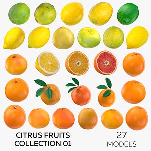 Citrus Fruits Collection 01 - 27 models