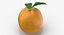 3D Citrus Fruits Collection 01 - 27 models model
