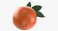 3D Citrus Fruits Collection 01 - 27 models model