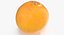 3D Citrus Fruits Collection 01 - 27 models model