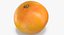 3D Citrus Fruits Collection 01 - 27 models model