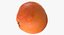 3D Citrus Fruits Collection 01 - 27 models model