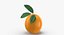 3D Citrus Fruits Collection 01 - 27 models model