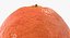 3D Citrus Fruits Collection 01 - 27 models model