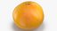3D Citrus Fruits Collection 01 - 27 models model