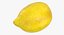 3D Citrus Fruits Collection 01 - 27 models model