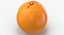 3D Citrus Fruits Collection 01 - 27 models model