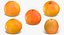 3D Citrus Fruits Collection 01 - 27 models model