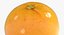 3D Citrus Fruits Collection 01 - 27 models model