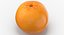 3D Citrus Fruits Collection 01 - 27 models model