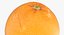 3D Citrus Fruits Collection 01 - 27 models model