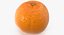 3D Citrus Fruits Collection 01 - 27 models model