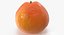 3D Citrus Fruits Collection 01 - 27 models model