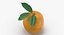 3D Citrus Fruits Collection 01 - 27 models model