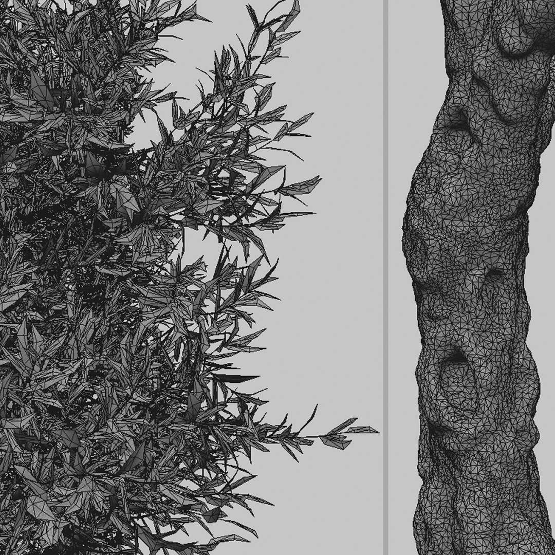 Set of Olive or Olea europaea Tree - 2 Trees 3D model https://p.turbosquid.com/ts-thumb/is/GtyvPk/J9/olivetree4t/jpg/1669932795/1920x1080/fit_q87/82ccfa49ce433fb54ab640327038cc47b4b832b8/olivetree4t.jpg