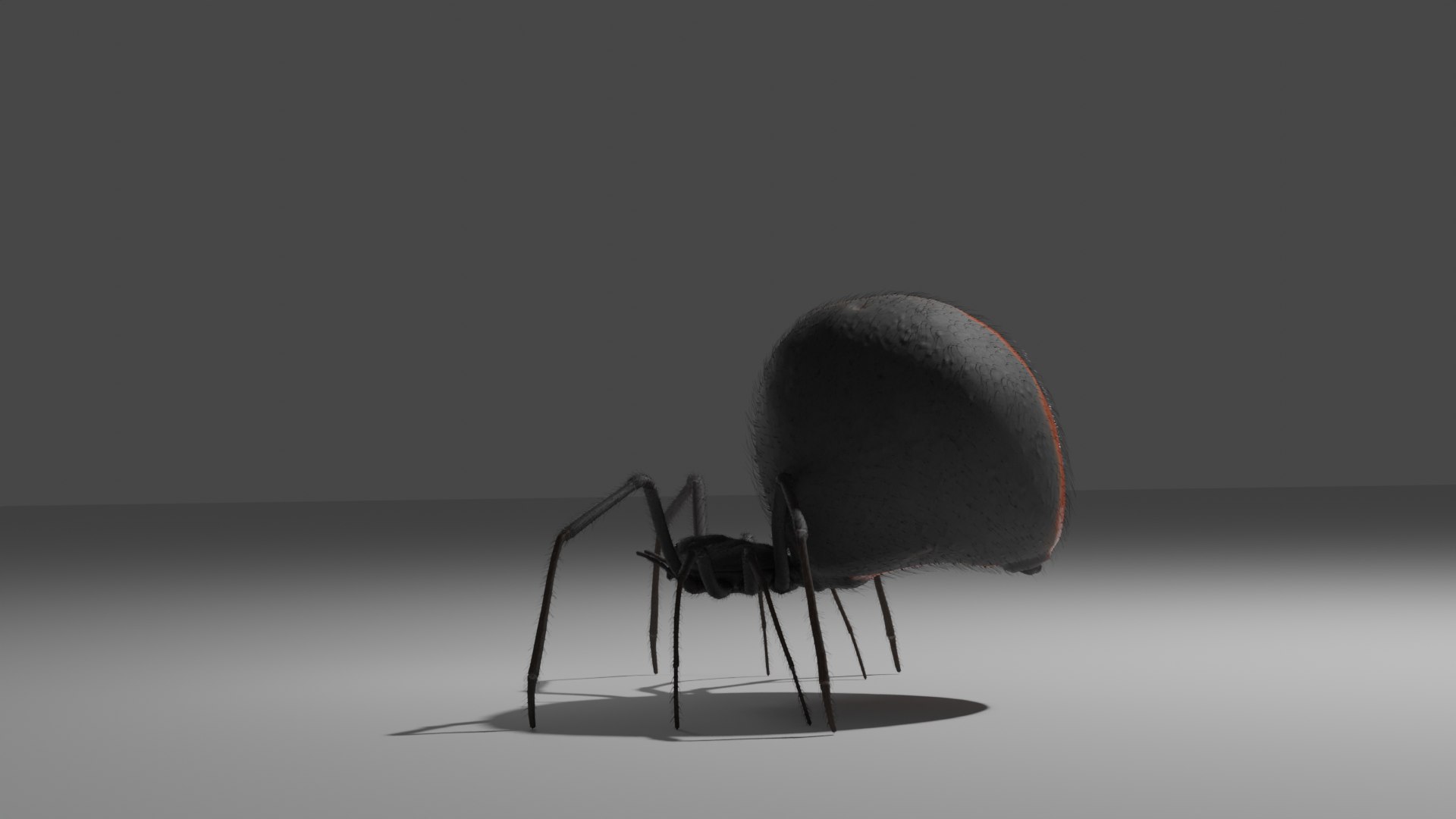 Black Widow rigged 3D https://p.turbosquid.com/ts-thumb/is/LKSlpB/AD/spider_15/png/1670904864/1920x1080/fit_q87/6a015caef93653a48eff26e254a9ad5816ded4b0/spider_15.jpg