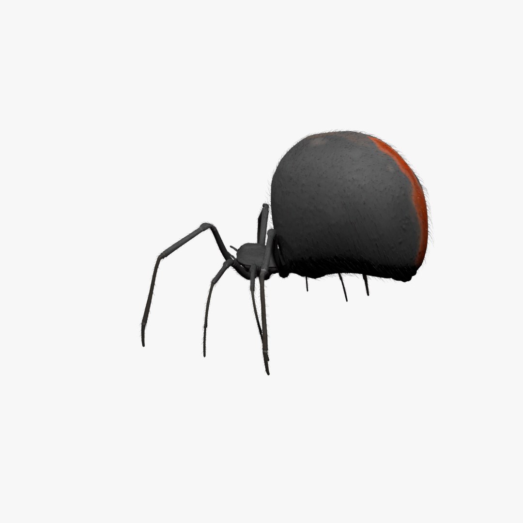 Black Widow rigged 3D https://p.turbosquid.com/ts-thumb/is/LKSlpB/Gq/turbo_square_edited/png/1670925688/1920x1080/fit_q87/d783aa8e7aa8c5e108ea42d0f9b62abb27e1e3d6/turbo_square_edited.jpg