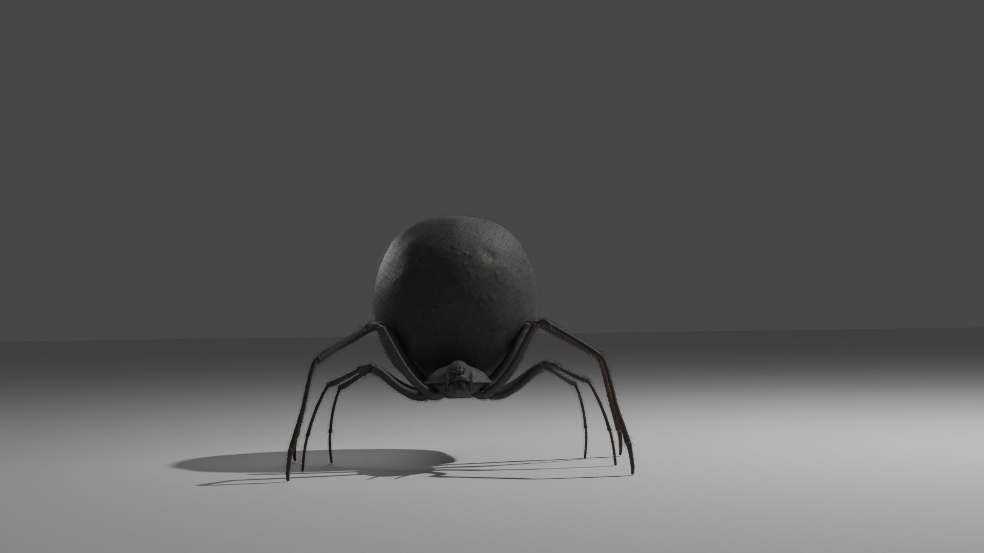 Black Widow rigged 3D https://p.turbosquid.com/ts-thumb/is/LKSlpB/Ug/spider/png/1670904824/1920x1080/turn_fit_q99/10a2efb429249b99936b8098f1c42a06f4a84119/spider-1.jpg