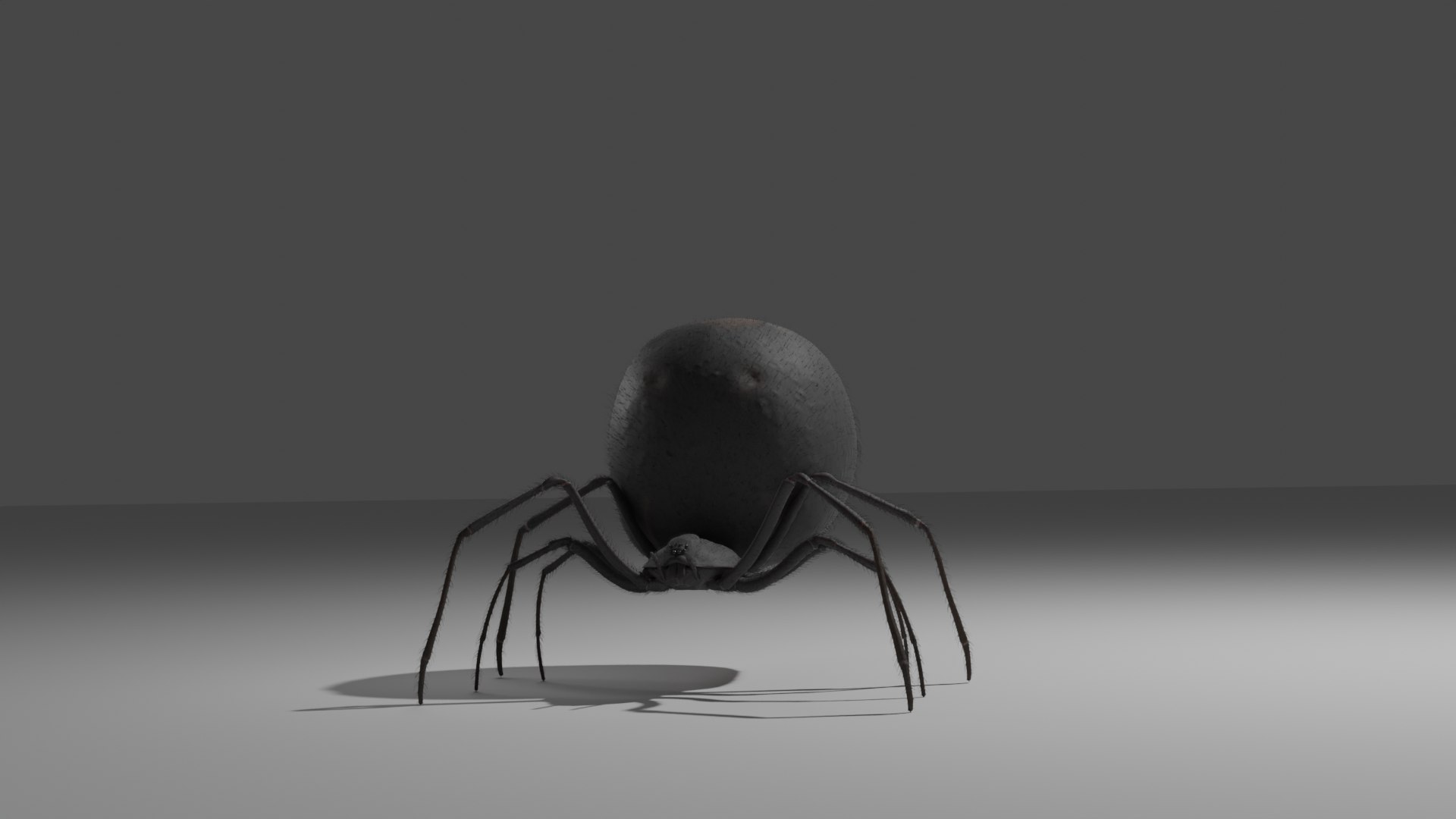 Black Widow rigged 3D https://p.turbosquid.com/ts-thumb/is/LKSlpB/ao/spider_04/png/1670904864/1920x1080/fit_q87/ceb9f9bf594570ae82285d0b8f27a6bce41c87b3/spider_04.jpg
