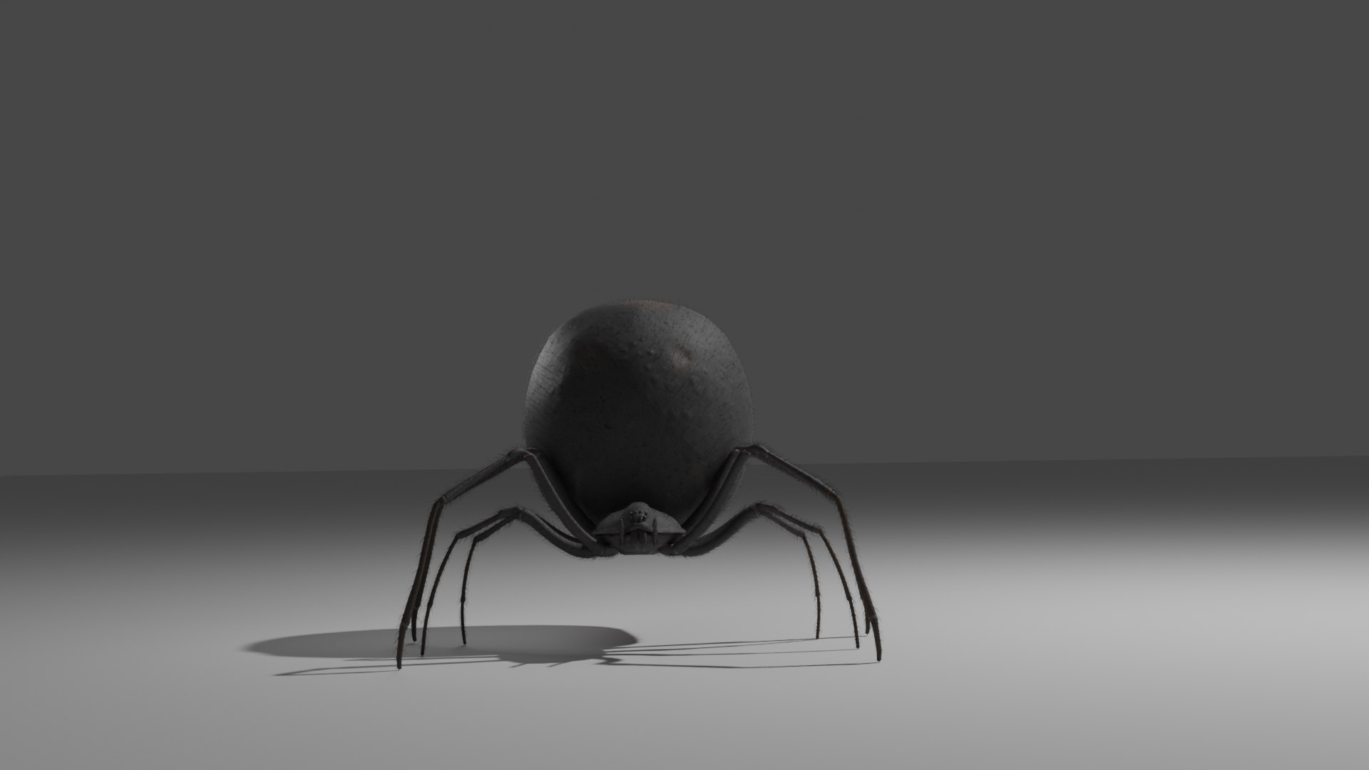 Black Widow rigged 3D https://p.turbosquid.com/ts-thumb/is/LKSlpB/v8/spider_44/png/1670908060/1920x1080/fit_q87/dabfe4f4c00ddade43ff62f847657806070ae35b/spider_44.jpg