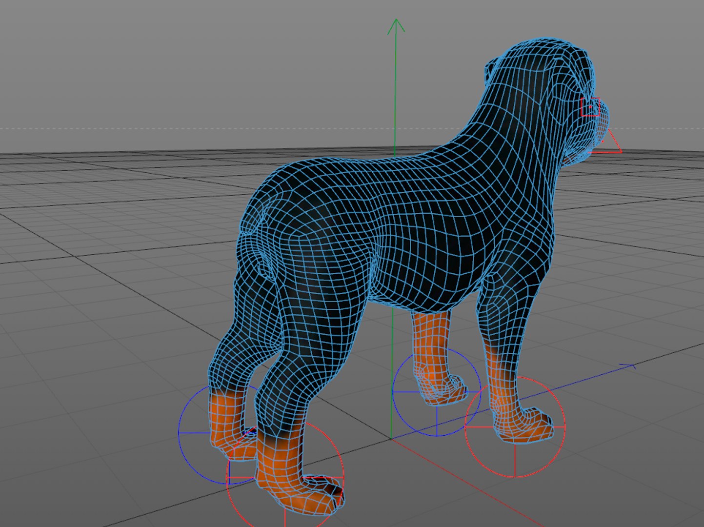 3d model dog rottweiler https://p.turbosquid.com/ts-thumb/is/LzUpCp/QQwzECt4/rottweiler_mesh2/png/1476129027/1920x1080/fit_q87/3c16580f3dfa267c9d3738a698d4b94abbb869a1/rottweiler_mesh2.jpg
