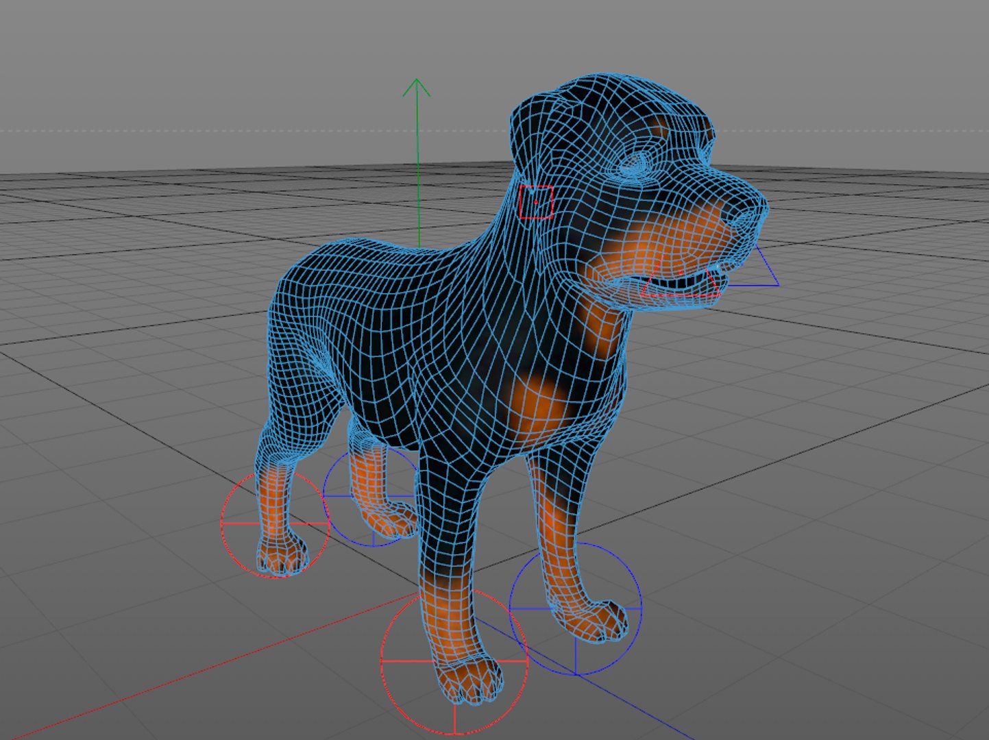3d model dog rottweiler https://p.turbosquid.com/ts-thumb/is/LzUpCp/bkc3BGVw/rottweiler_mesh1/png/1476129027/1920x1080/fit_q87/64e7059d88ce1fa1f614690108ee915cbfec4fbb/rottweiler_mesh1.jpg