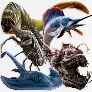 Moray Eel - Stingray - Marlin Sailfish - Porcupine Didion - Shrimp - Ocean Monster Fish Pack 1 3D model