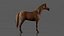 War Horse Rigged 3D Model