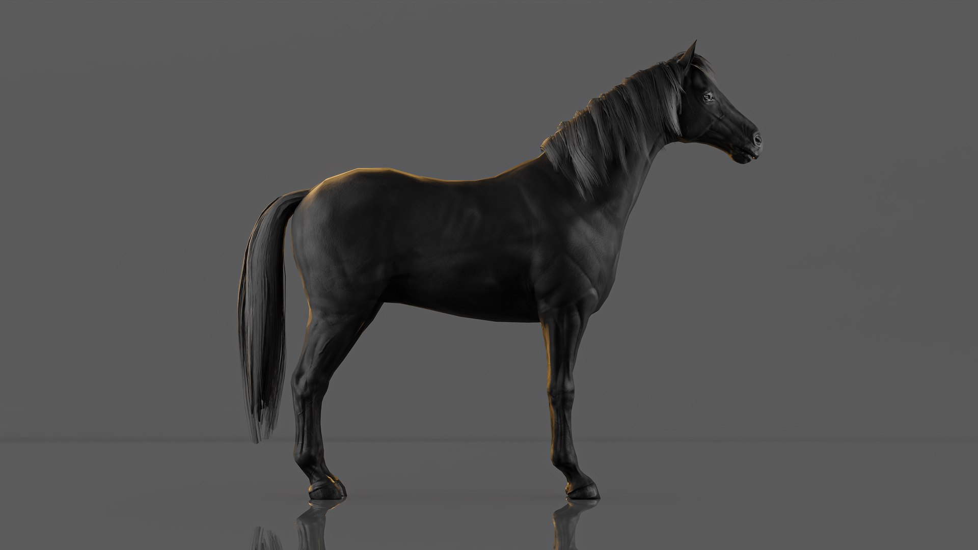 3D War Horse Rigged 3D Model https://p.turbosquid.com/ts-thumb/is/arXFQd/Pc/9/jpg/1769497953/1920x1080/fit_q87/ef1c8d3550db8b020331df1d60639f3fca345f1b/9.jpg