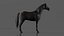 War Horse Rigged 3D Model