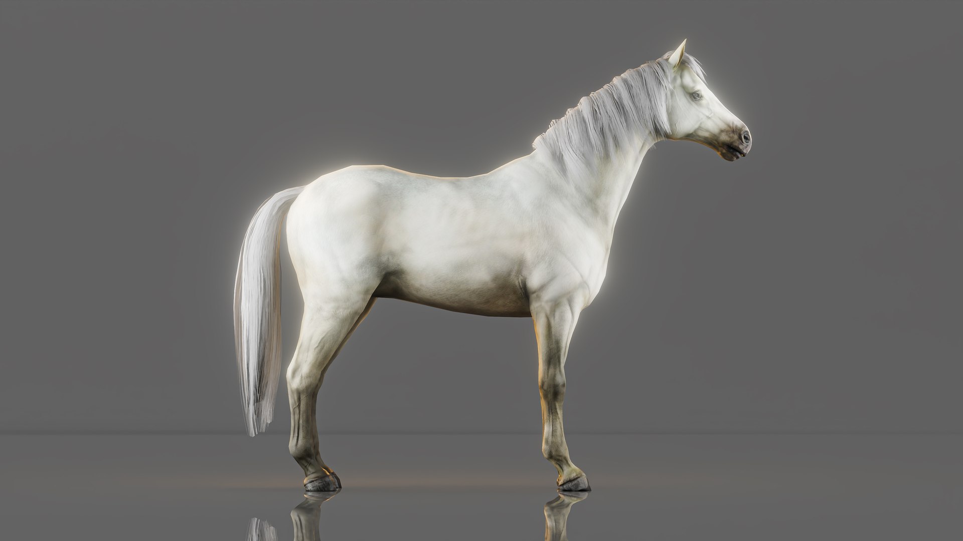 3D War Horse Rigged 3D Model https://p.turbosquid.com/ts-thumb/is/arXFQd/SA/10/jpg/1769497962/1920x1080/fit_q87/faf43f41d9daa0de2179376b3c62e316d28a24cd/10.jpg