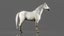 War Horse Rigged 3D Model