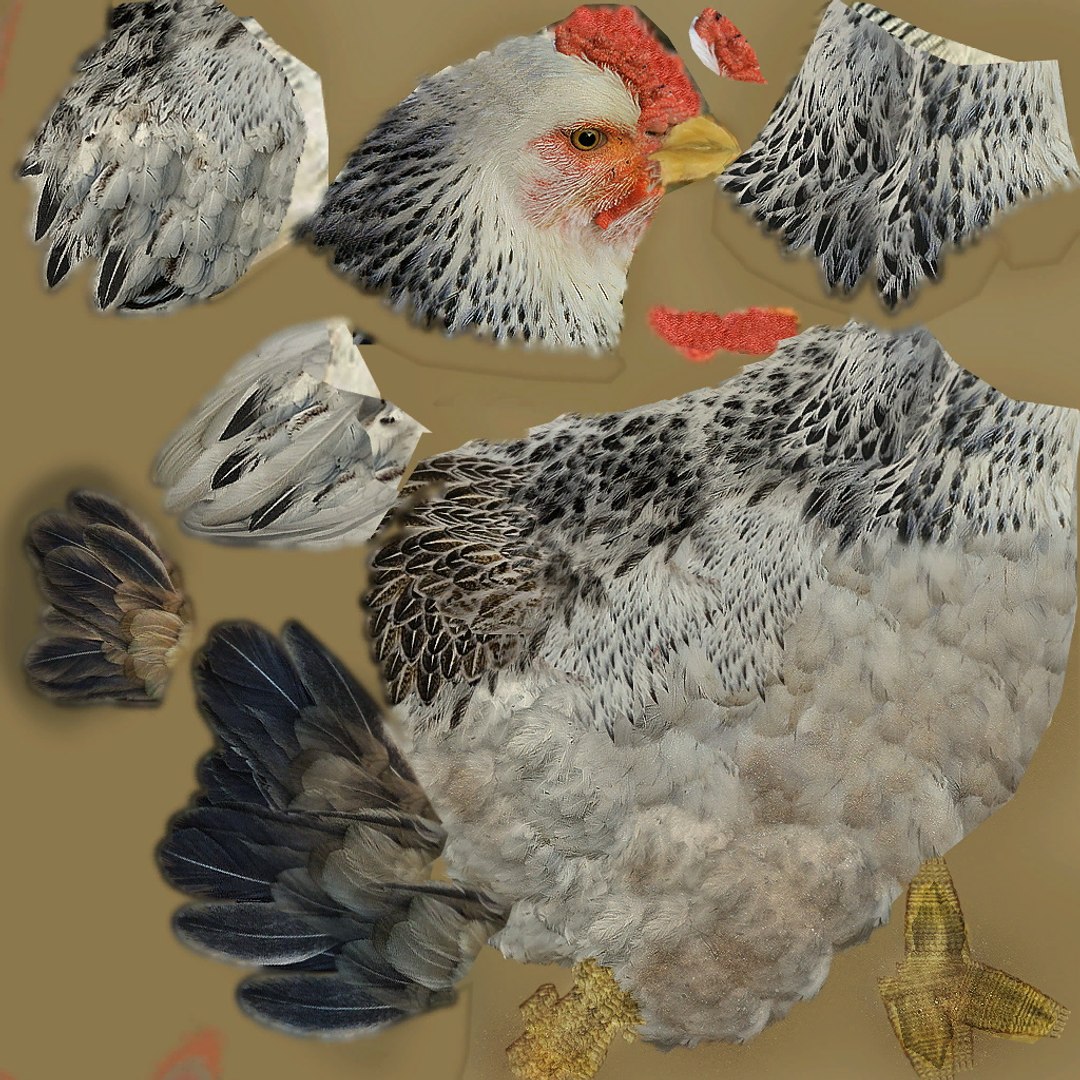 3D Chicken - TurboSquid 2369840