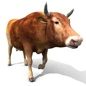 cow animate 3d model