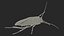 Animated Cockroach Cleans Paw Rigged for Maya 3D model